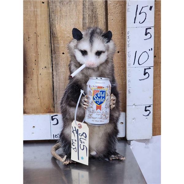 Naughty Opossum Taxidermy Mount