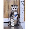 Image 1 : Naughty Opossum Taxidermy Mount