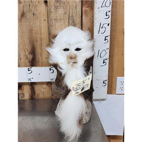 The Dreaded Swamp Monster Taxidermy