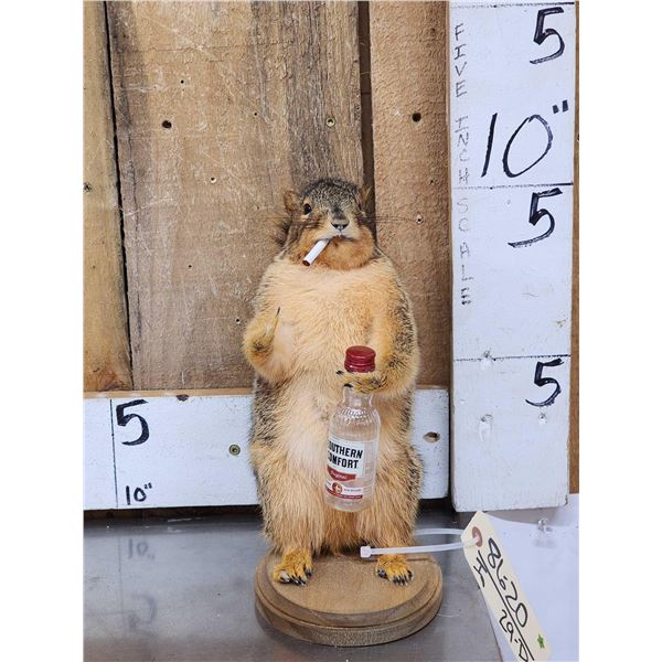 Naughty Squirrel Full Body Taxidermy Mount
