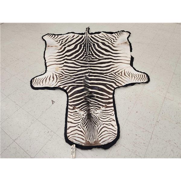 Vintage Zebra Skin Rug Taxidermy