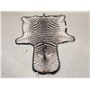 Image 1 : Vintage Zebra Skin Rug Taxidermy