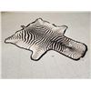 Image 3 : Vintage Zebra Skin Rug Taxidermy