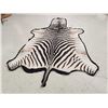 Image 4 : Vintage Zebra Skin Rug Taxidermy