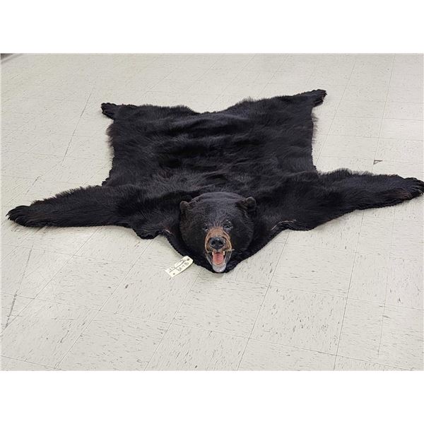 Big Black Bear Rug Taxidermy
