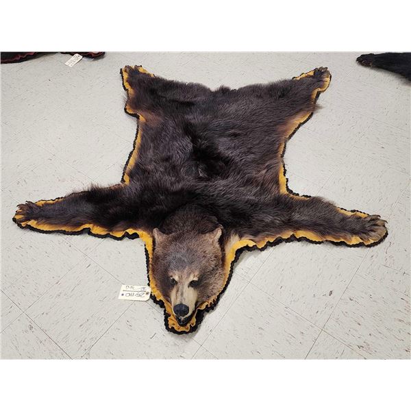 Black Bear Rug Taxidermy