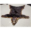 Image 1 : Black Bear Rug Taxidermy