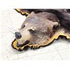 Image 6 : Black Bear Rug Taxidermy