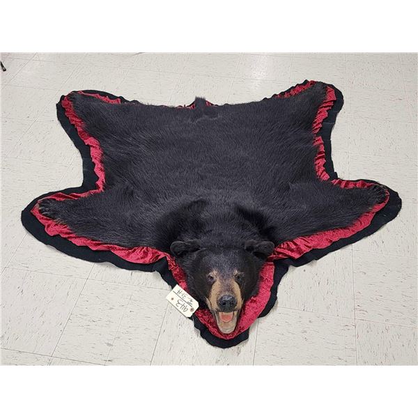 Black Bear Rug Taxidermy