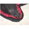Image 4 : Black Bear Rug Taxidermy