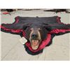 Image 5 : Black Bear Rug Taxidermy