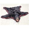 Image 1 : Black Bear Rug Taxidermy