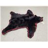 Image 2 : Black Bear Rug Taxidermy