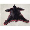 Image 5 : Black Bear Rug Taxidermy