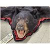 Image 6 : Black Bear Rug Taxidermy