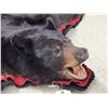 Image 7 : Black Bear Rug Taxidermy