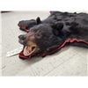 Image 8 : Black Bear Rug Taxidermy