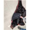 Image 9 : Black Bear Rug Taxidermy