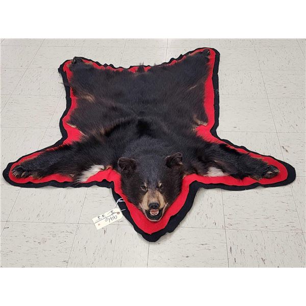 Bkack Bear Rug Taxidermy