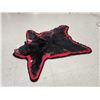 Image 3 : Bkack Bear Rug Taxidermy
