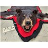 Image 5 : Bkack Bear Rug Taxidermy
