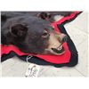 Image 6 : Bkack Bear Rug Taxidermy