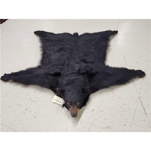Black Bear Rug Taxidermy
