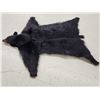 Image 2 : Black Bear Rug Taxidermy