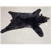 Image 2 : Black Bear Rug Taxidermy