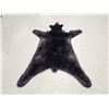 Image 3 : Black Bear Rug Taxidermy