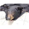 Image 5 : Black Bear Rug Taxidermy