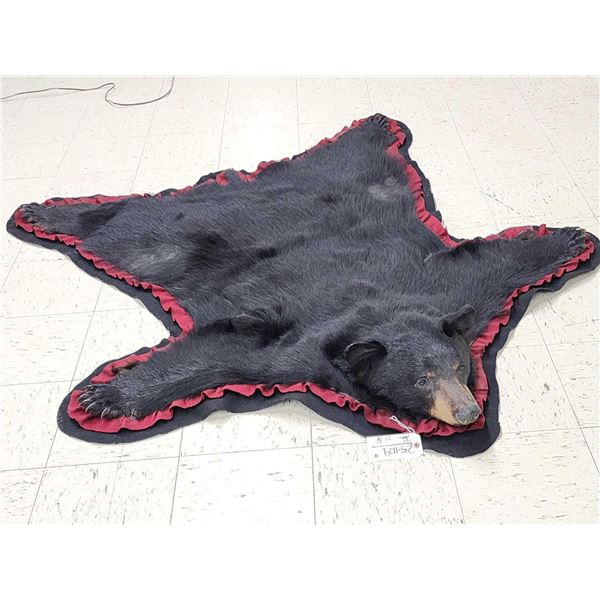 Big Black Bear Rug Taxidermy