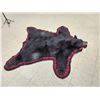 Image 2 : Big Black Bear Rug Taxidermy