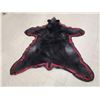 Image 3 : Big Black Bear Rug Taxidermy