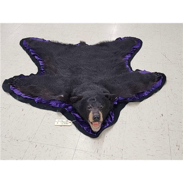 Black Bear Rug Taxidermy