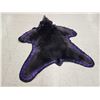 Image 4 : Black Bear Rug Taxidermy