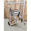 Image 7 : Zebra Full Body Taxidermy Mount