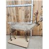 Image 7 : Caribou Full Body Taxidermy Mount