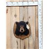Image 1 : Black Bear Shoulder Mount Taxidermy
