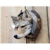 Image 4 : Coyote In A Log Taxidermy