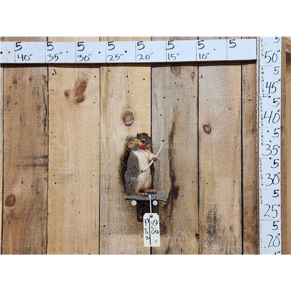Bow Hunting Squirrel Taxidermy Mount