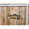 Image 1 : 31" Walleye Real Skin Fish Taxidermy