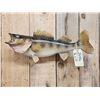 Image 2 : 25" Walleye Real Skin Fish Taxidermy