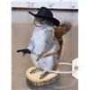 Image 3 : Sheriff Squirrel