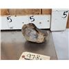 Image 3 : Woolly Mammoth Foot Bone Partially Fossilized Fossil