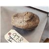 Image 5 : Woolly Mammoth Foot Bone Partially Fossilized Fossil