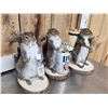 Image 2 : 3 Cute Critters Taxidermy Lot