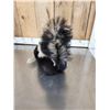 Image 4 : Skunk Full Body Taxidermy Mount