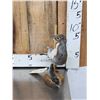 Image 2 : Squirrel On A Stripper Pole Taxidermy