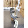 Image 4 : Squirrel On A Stripper Pole Taxidermy